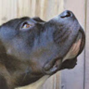 Meet your Posher, Alanna